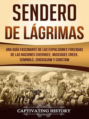 cover image of Sendero de Lágrimas